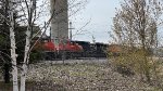 CN 8903